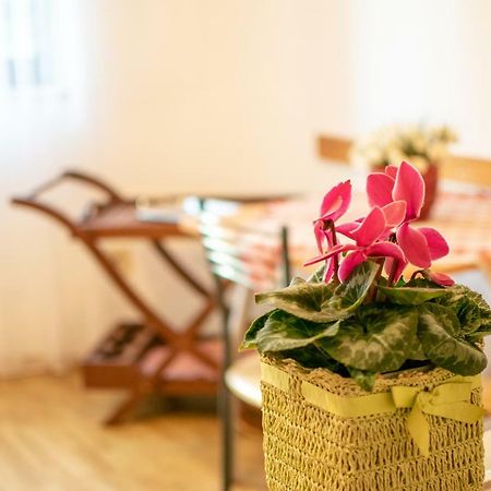 Apartments Mirjana プーラ エクステリア 写真