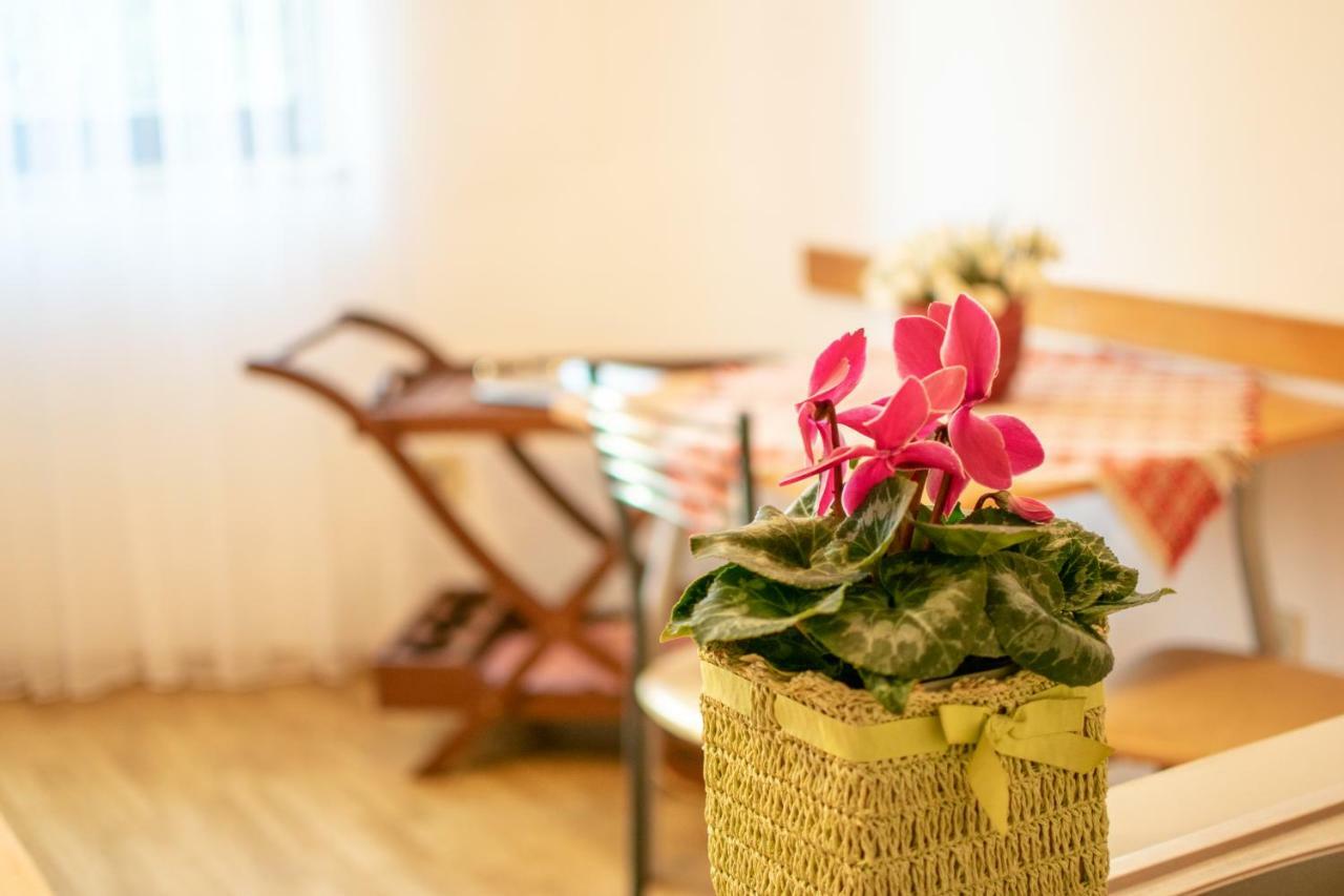 Apartments Mirjana プーラ エクステリア 写真