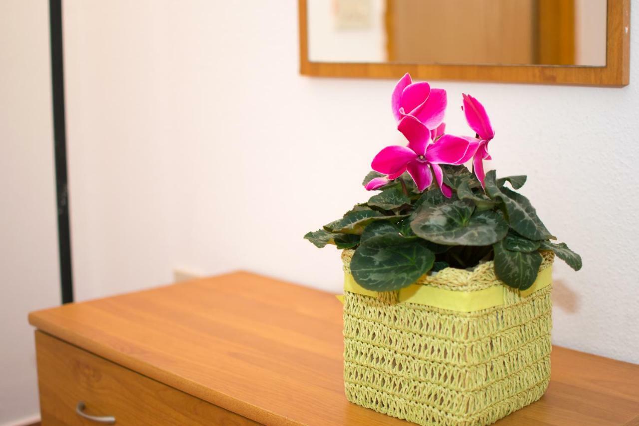 Apartments Mirjana プーラ エクステリア 写真